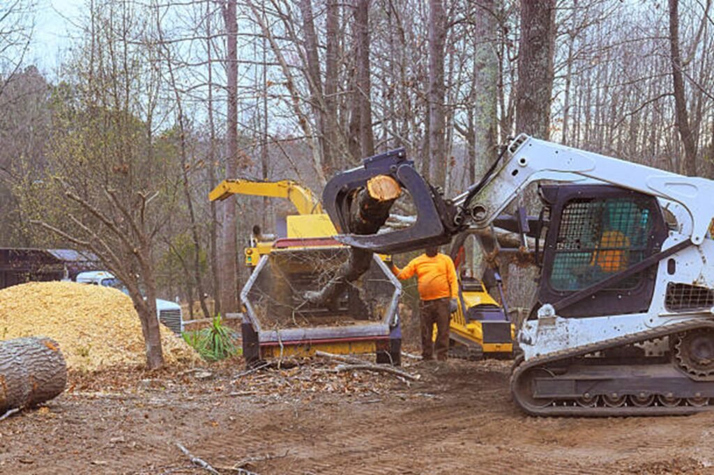 Residential property after professional tree removal with logs processed and the hazardous tree safely removed in Florissant, MO.
