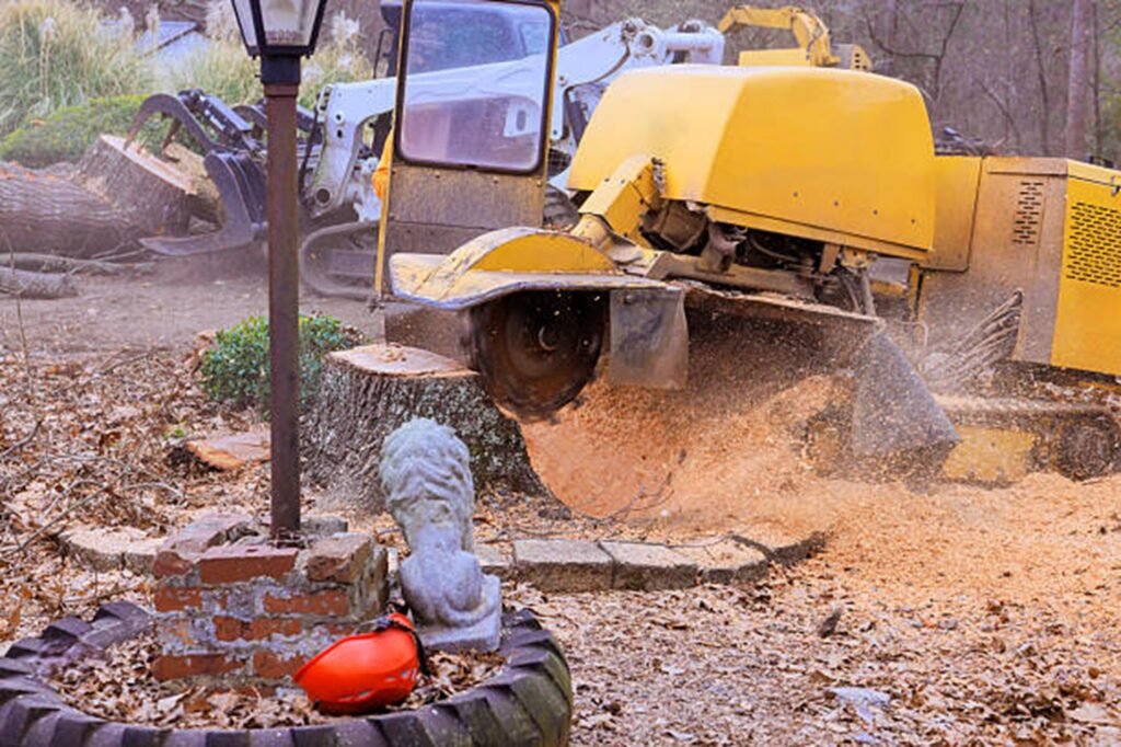 Professional stump grinding machine removing a large tree stump while clearing wood chips during a residential stump grinding project in Florissant, MO.