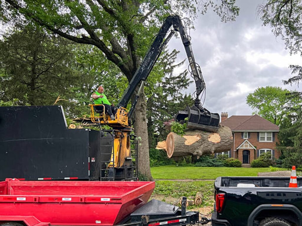 Professional tree removal crew using heavy equipment to safely lift and remove large tree sections during a residential tree removal project in Florissant, MO.