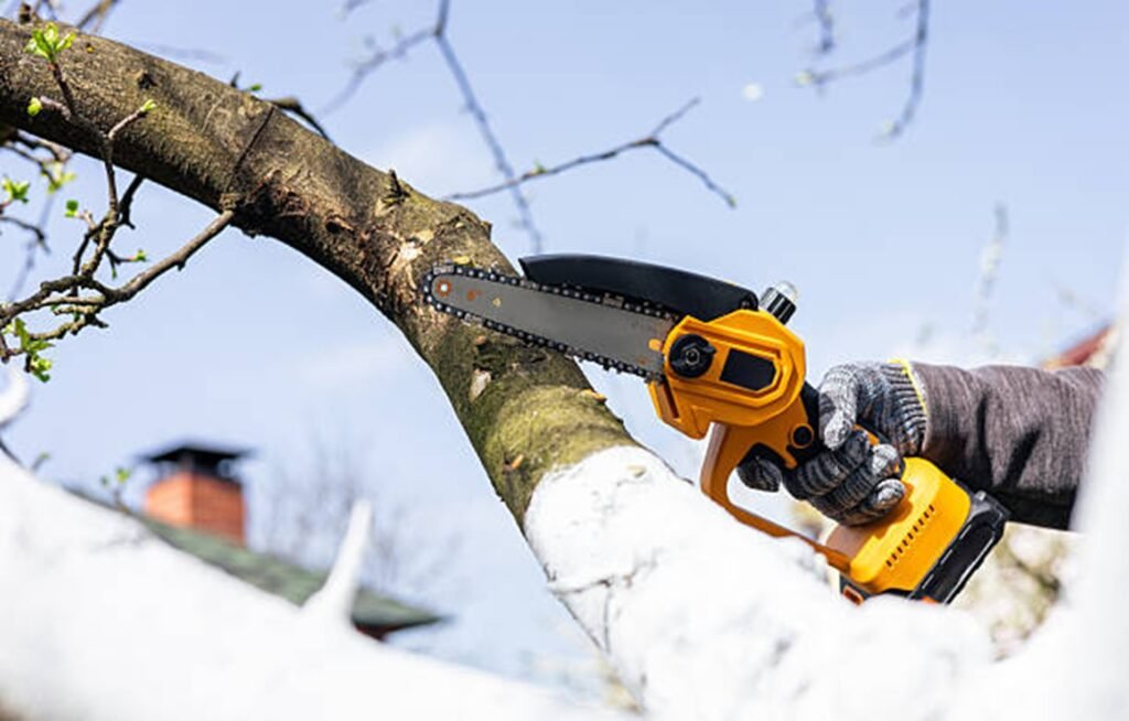 Professional tree trimming specialist pruning a large tree branch with a chainsaw to improve tree health and safety in Florissant, MO.
