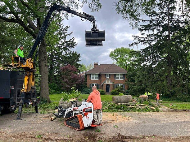 Professional tree care crew using heavy equipment to remove trimmed tree sections during a tree trimming and pruning project in Florissant, MO.