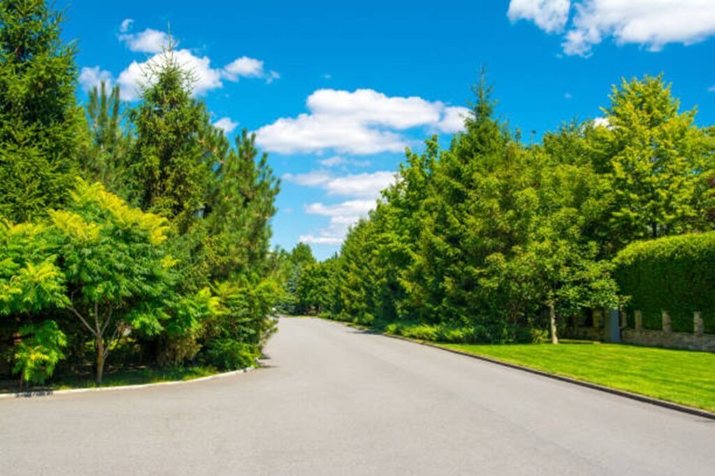 Beautiful tree-lined residential neighborhood representing the communities served by Florissant Tree Service throughout Florissant, MO.
