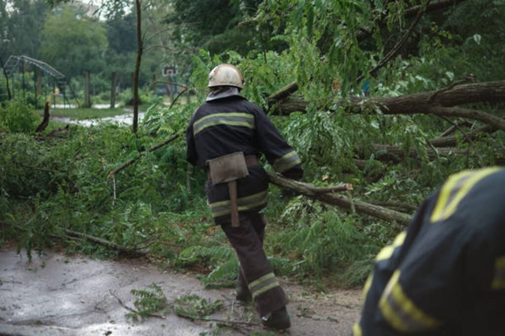 Professional crew clearing fallen trees and storm debris from a residential roadway during storm damage cleanup in Florissant, MO.