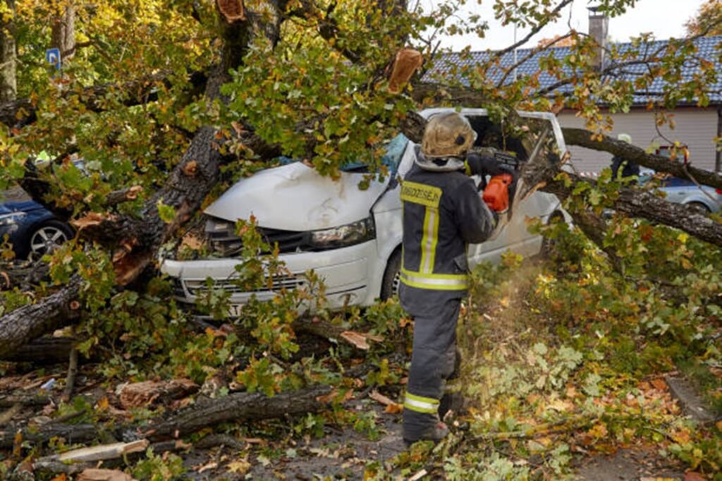 Emergency tree service crew removing a large fallen tree from a damaged vehicle after severe storm damage in Florissant, MO.