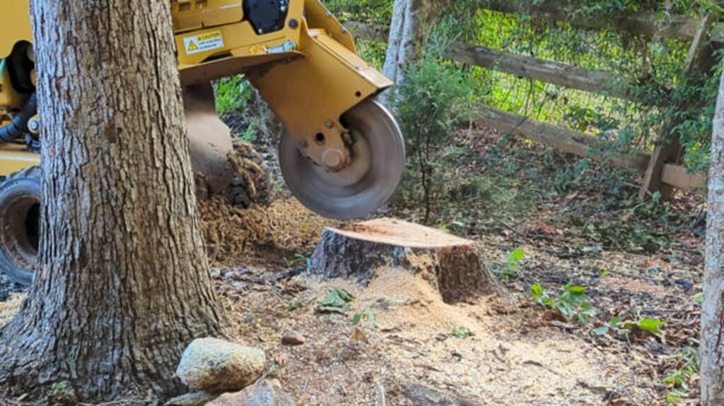 Commercial stump grinder removing a tree stump below ground level during professional stump grinding and removal service in Florissant, MO.
