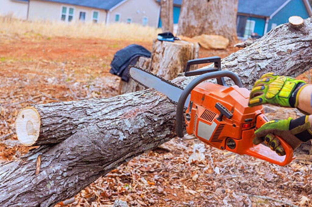 Professional chainsaw cutting through a fallen tree during emergency tree removal service at a residential property in Florissant, MO.