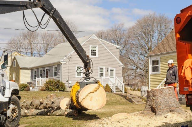 Professional emergency tree service crew cutting and removing a large fallen tree blocking a residential street in Florissant, MO.