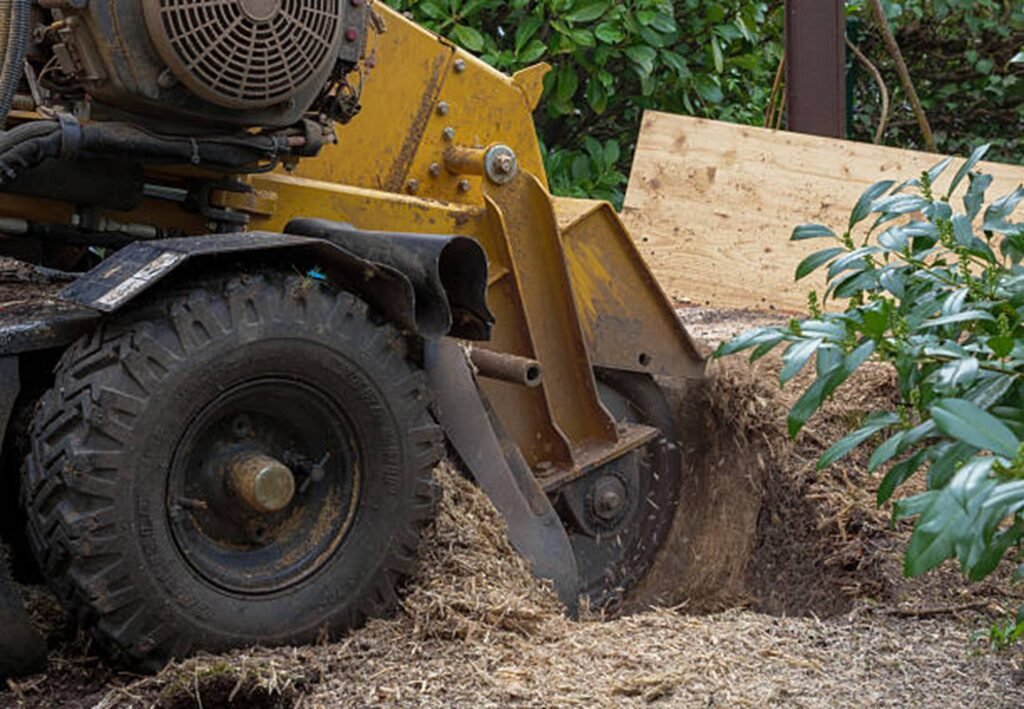 Professional stump grinding machine removing a tree stump from a residential yard during stump grinding and removal service in Florissant, MO.