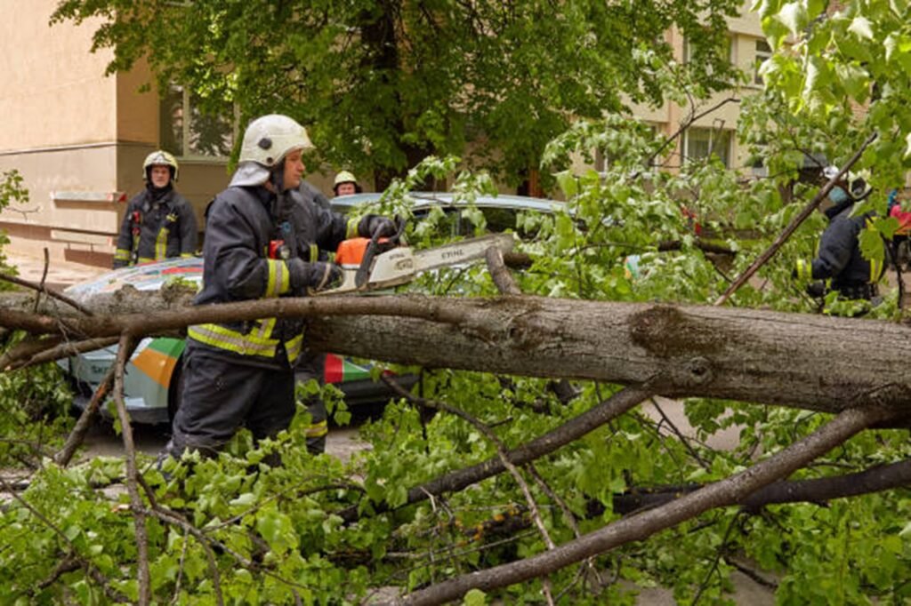 Emergency tree service crew safely cutting and removing a fallen tree blocking a residential street in Florissant, MO after severe storm damage.