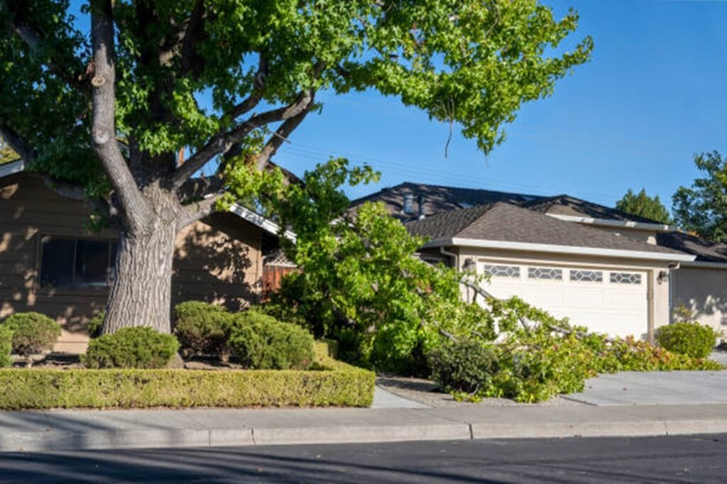 Storm-damaged tree with broken limbs blocking a residential driveway before professional storm damage cleanup in Florissant, MO.